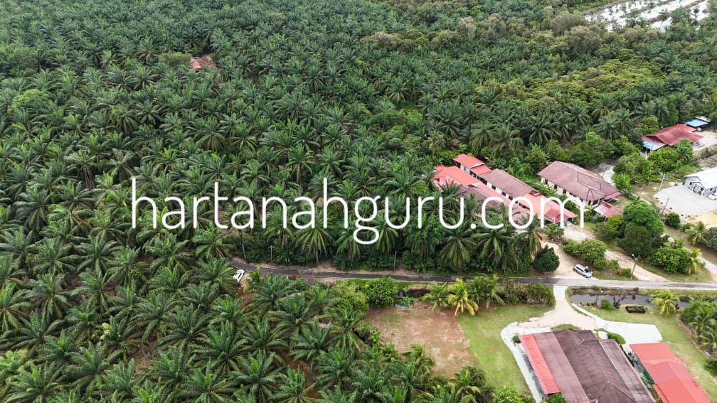 q muar 2 (4)