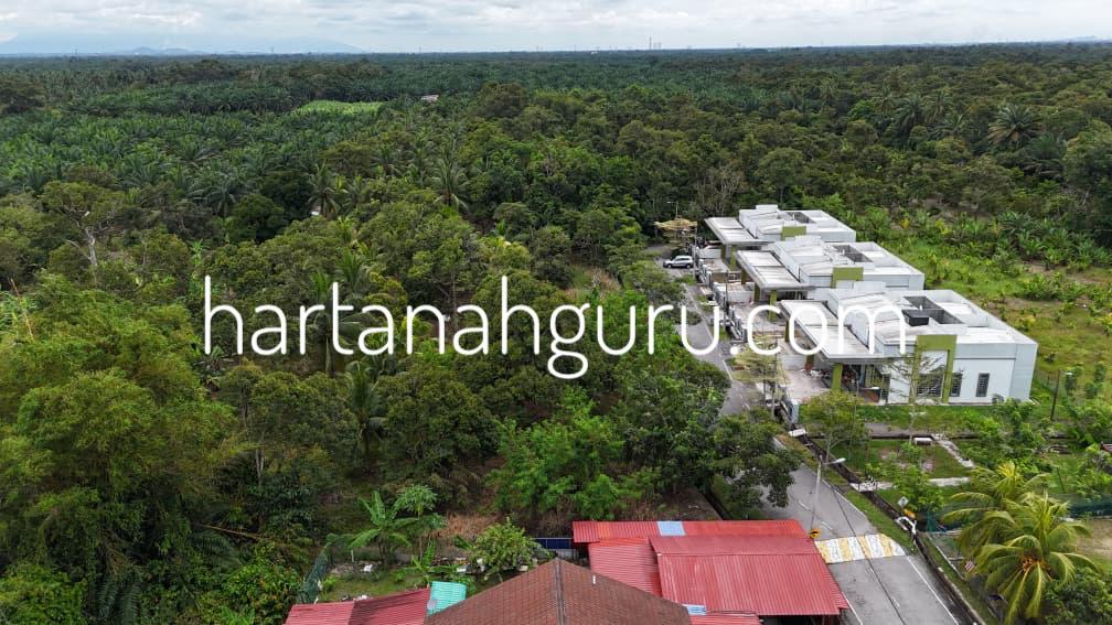 q muar 2 (9)