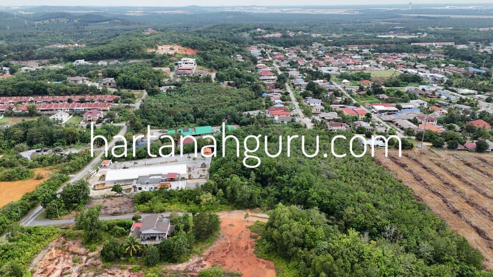 q salak tinggi 2 (3)