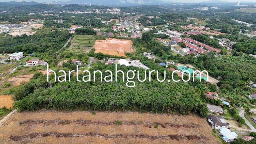 q salak tinggi 2 (5)