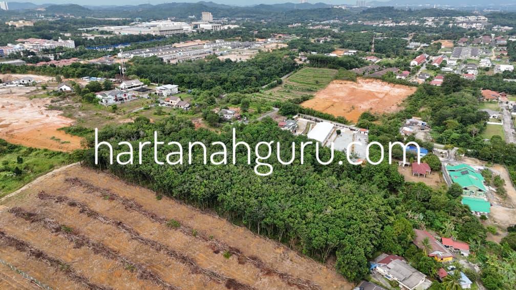 q salak tinggi 2 (6)