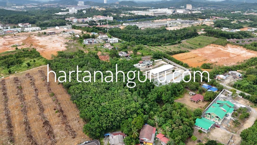 q salak tinggi 2 (7)
