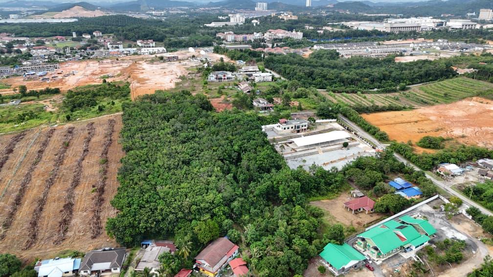 q salak tinggi 2 (8)